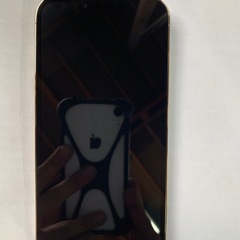 超美品！！iPhone 13 Proの画像