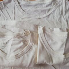 ＧＡＰ　Ｔシャツ　ｍサイズ　ホワイト　３枚の画像
