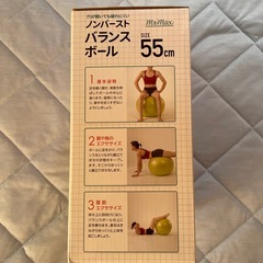 バランスボール　空気入れ付き　55㎝の画像