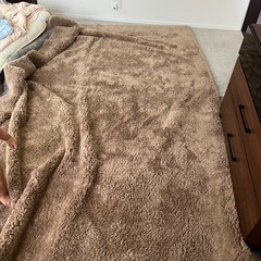 カーペットの画像