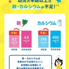 粉末飲料 チョコレート風味の画像