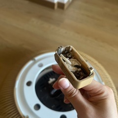 和式照明（シャンデリア）の画像