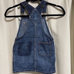 ポロ　ジャンスカの画像