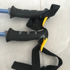 スキーストック　SWIXの画像