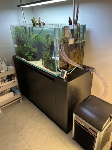 ADA キューブガーデン 900 水草水槽 まとめ売り