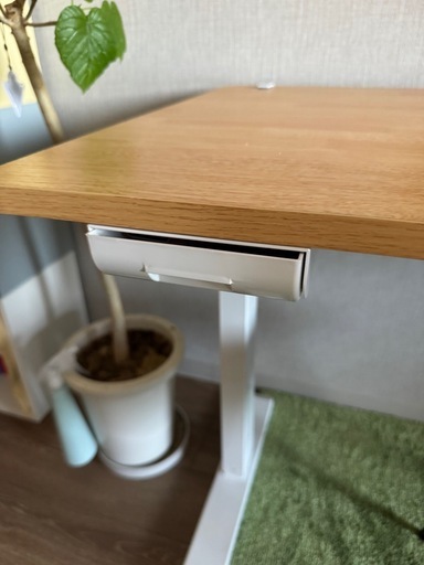 【美品 】電動昇降デスクセット(バラ売り可能)
