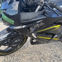 ニンジャ250※事故車の画像