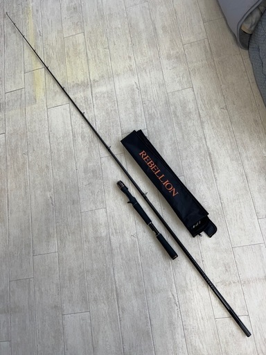 バスロッド　ダイワ リベリオン731MHFB-G