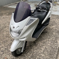 マジェスティ250C⭐️綺麗です❣️すぐ乗れます！❣️の画像