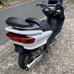 マジェスティ250C⭐️綺麗です❣️すぐ乗れます！❣️の画像