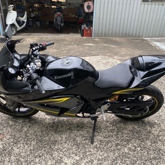 ninja 250R⭐️改装多数⭐️綺麗です❣️すぐ乗れます！❣️の画像