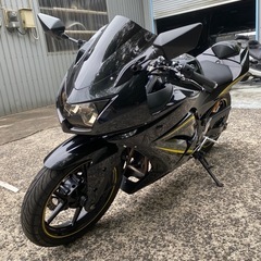 ninja 250R⭐️改装多数⭐️綺麗です❣️すぐ乗れます！❣️の画像