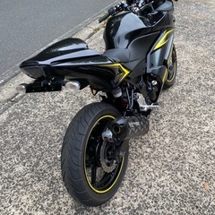 ninja 250R⭐️改装多数⭐️綺麗です❣️すぐ乗れます！❣️の画像