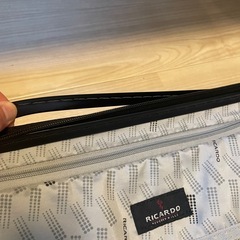 RICARD 機内用スーツけーすケースの画像