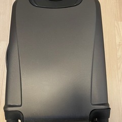 RICARD 機内用スーツけーすケースの画像