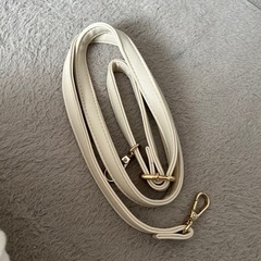バックの画像