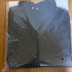 厚手のニット L  の画像