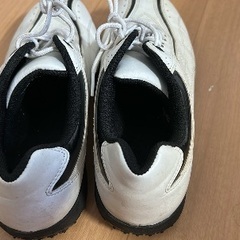 ゴルフシューズの画像