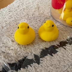 あひる風呂　おもちゃの画像