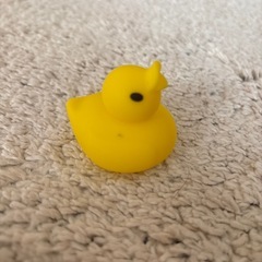 あひる風呂　おもちゃの画像