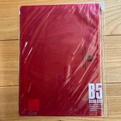 【全部新品6点セット】エトランジェ・ディ・コスタリカ　リングノート・パスケース・クリアフォルダー　赤　セットの画像