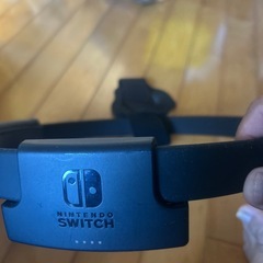 任天堂Switch リングフィトコントローラーの画像