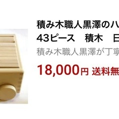 積み木　43ピースの画像