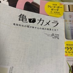 亀梨和也　切り抜き　MAQUIA 2025年2月号　6月号　亀カメラの画像