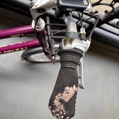 ルイガノ　自転車の画像