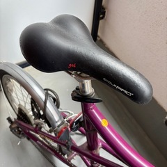 ルイガノ　自転車の画像