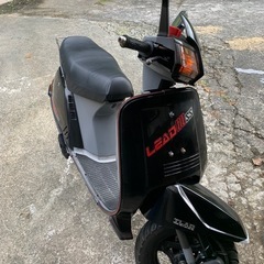 リードSS80の画像