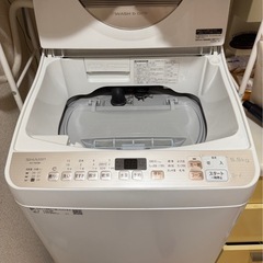 洗濯機(乾燥機能付き) 5.5kg SHARP ES-T5EBK  の画像