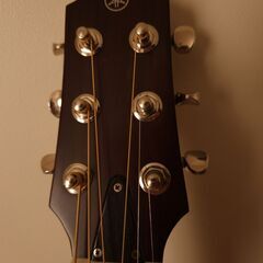 Yamaha SLG200Sの画像