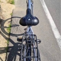スポーツ自転車
の画像