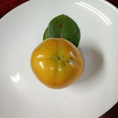 ■柿狩り❗️ ❓　 ★ 太秋柿　1個30円❗️の画像