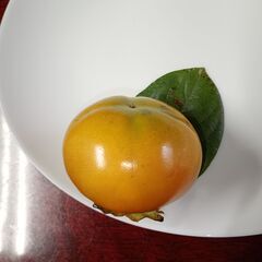 ■柿狩り❗️ ❓　 ★ 太秋柿　1個30円❗️の画像