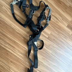 安全帯　フルハーネス の画像