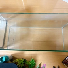 受け渡し決定致しました　
水槽　セット の画像