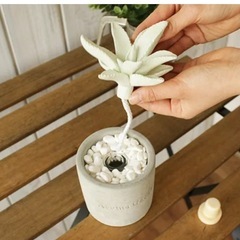 ルームフレグランス入れ　観葉植物　置物の画像