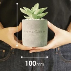 ルームフレグランス入れ　観葉植物　置物の画像