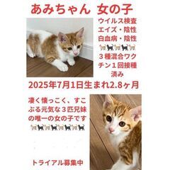 譲渡会参加　三匹兄妹