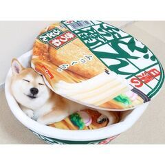 【新品】ペットベッド(マット・クッション付き)の画像