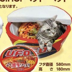 【新品】ペットベッド(マット・クッション付き)の画像