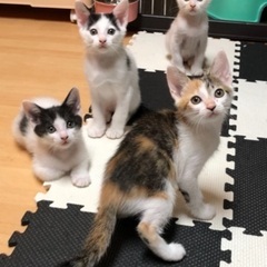 7月4日生まれの4兄妹❗️