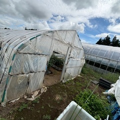 7万円、ビニールハウス6間、育苗や物置、建て替えにいかがですか？の画像