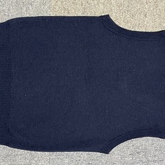 👕🐒  ベストの画像