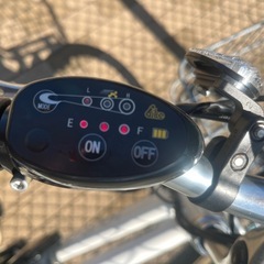 【訳あり】ルイガノ LGS-MVE 電動自転車（子供乗せシート付き）の画像
