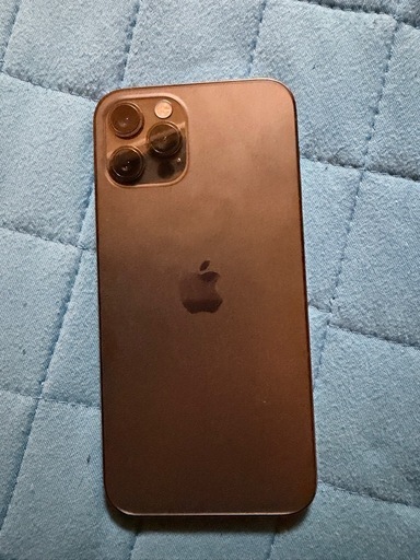 iPhone iPhone 12 Pro