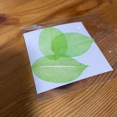 木製アクセサリーケース、LEDの電飾、クリスタルガラス、スケルトンリーフ、レースの画像