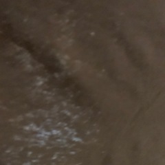 リメイク用生地①(ベッドカバー)の画像